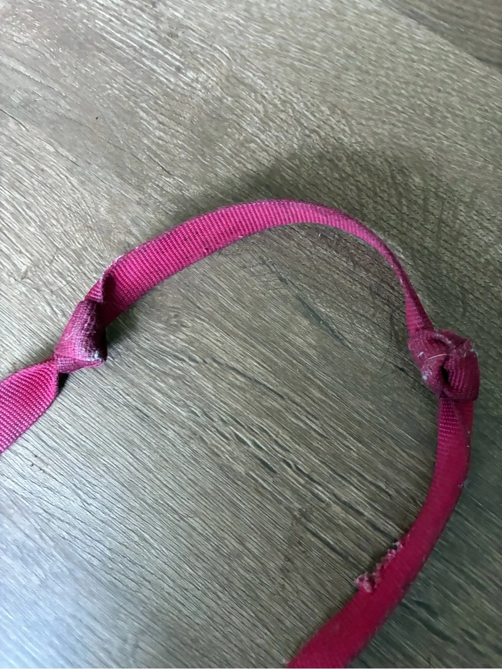 Coastal Red Nylon Dog Leash